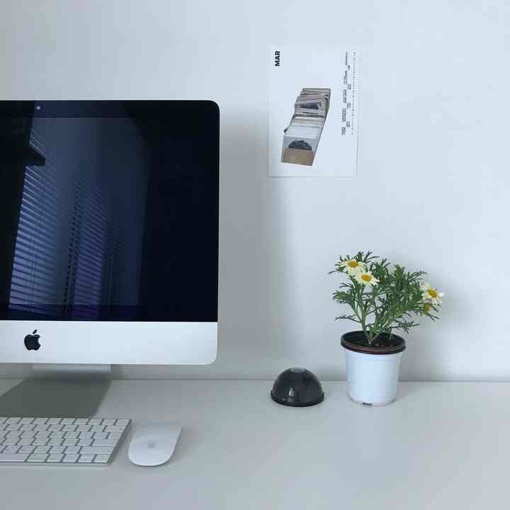 White-toned home office space featuring an Apple computer and a simple potted plant on a clean desk