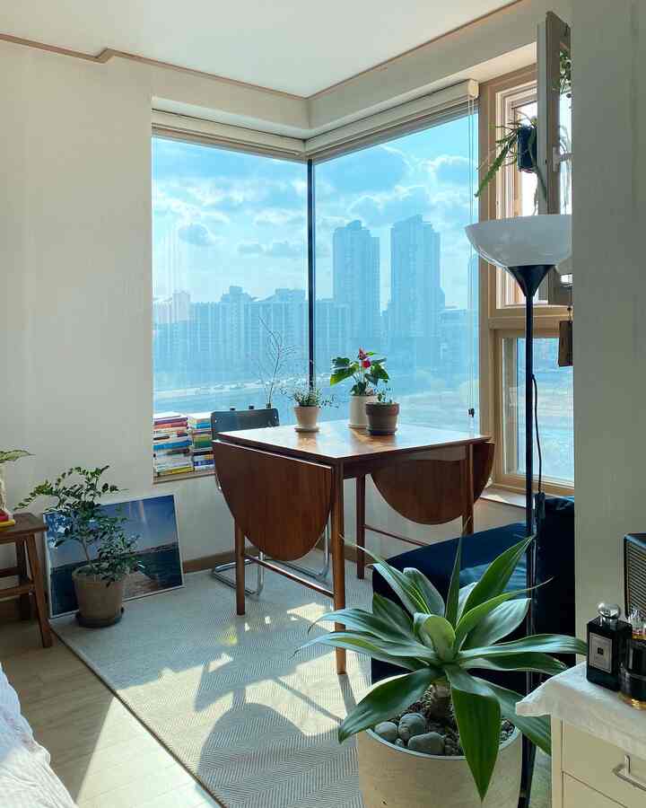 Natural toned studio apartment featuring a folding dining table and plants by the corner window creating a cozy atmosphere