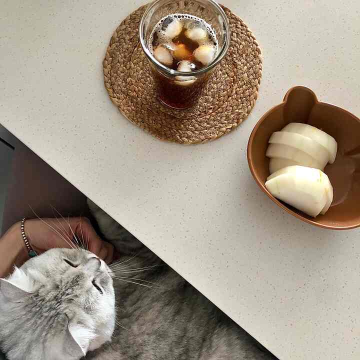 ベージュとナチュラルトーンのテーブルに手作りラタン鍋敷き、アイスドリンクとボウル、猫がいる落ち着いた空間