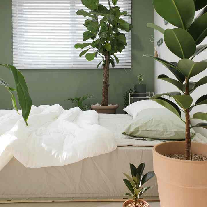 Green-toned bedroom featuring multiple potted plants and white bedding, creating a calm and natural atmosphere