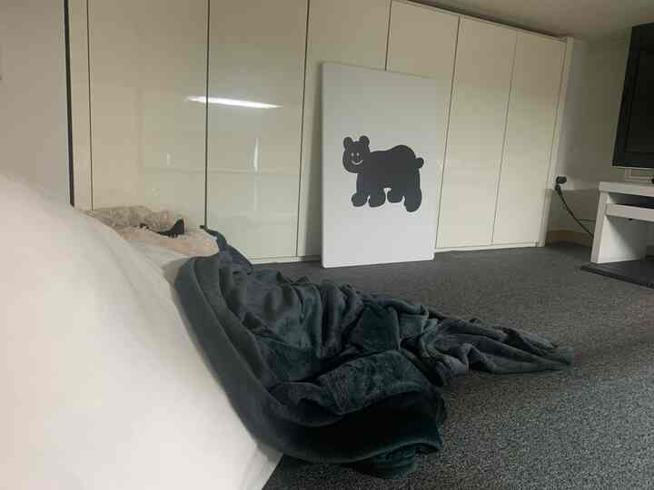 グレーのカーペットと白いキャビネットを備えたロフトの休憩スペース、猫用ペットベッドとブランケットが配置された快適なインテリア