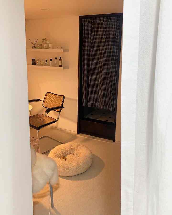 柔らかいベージュ調のホームオフィス兼リビング、ラタンのアームチェアとクリーム色のペットベッド、壁掛け棚が配置された居心地の良い空間