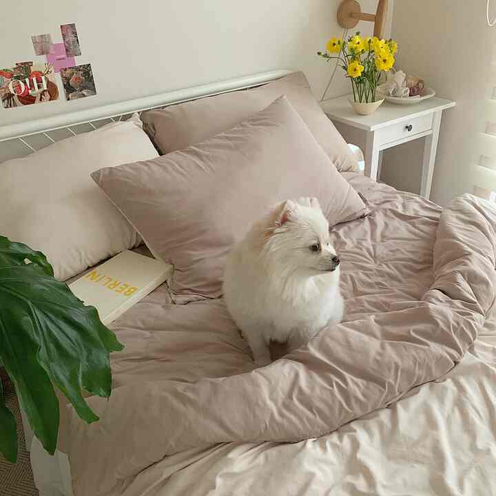 ベージュとホワイトトーンの寝室、中央のベッドに小さな白い犬が座り、横にナイトテーブルと黄色い花が置かれている雰囲気のあるインテリア。