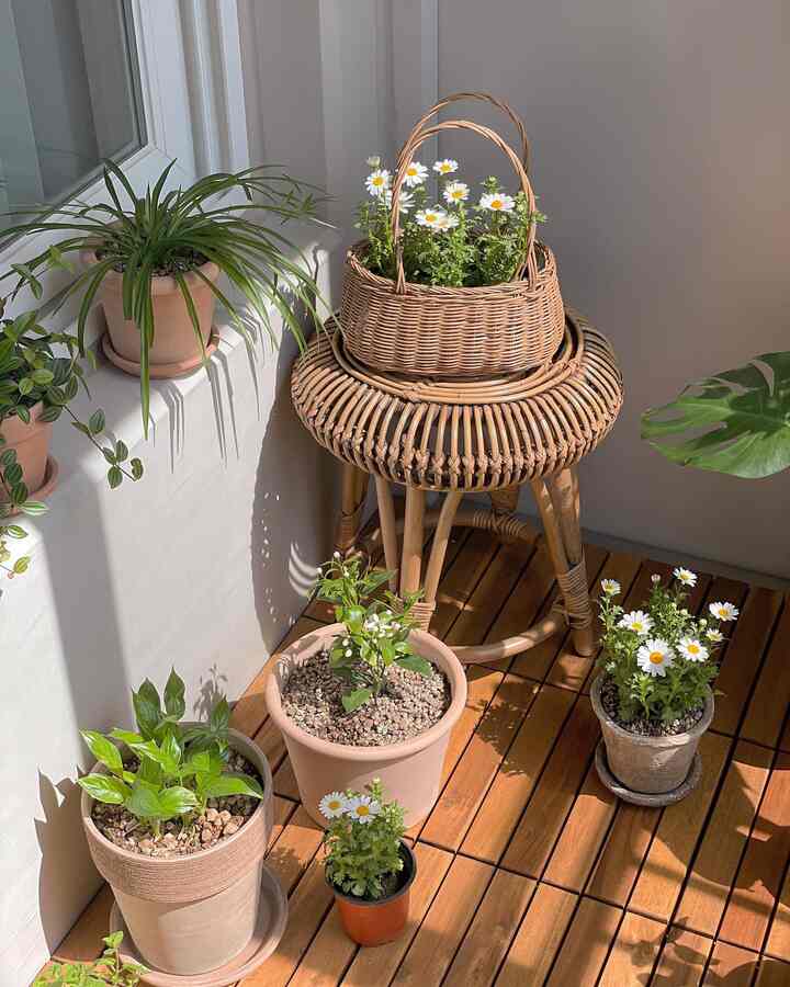 Natural balcony space featuring wood tone deck tiles, a rattan plant stand, and various potted plants with daisies