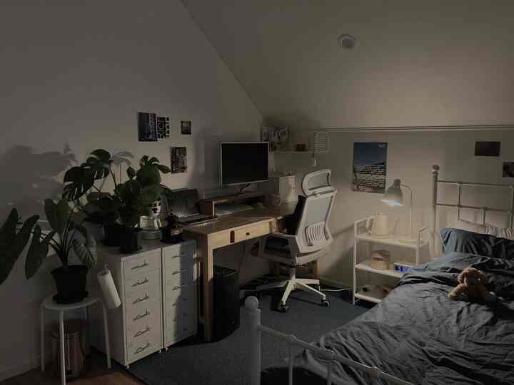 White-walled bedroom-style home office featuring wooden desk and plants, blue rug adds cozy tone