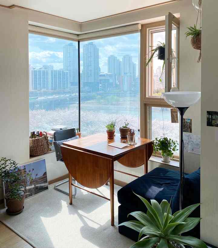 A white and wood tone studio apartment featuring a wooden expandable dining table, navy sofa, and various plants creating a cozy atmosphere