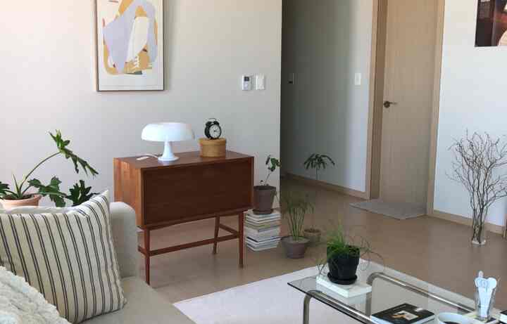 A natural wood tone and white living room featuring plants and simple furniture creating a cozy atmosphere