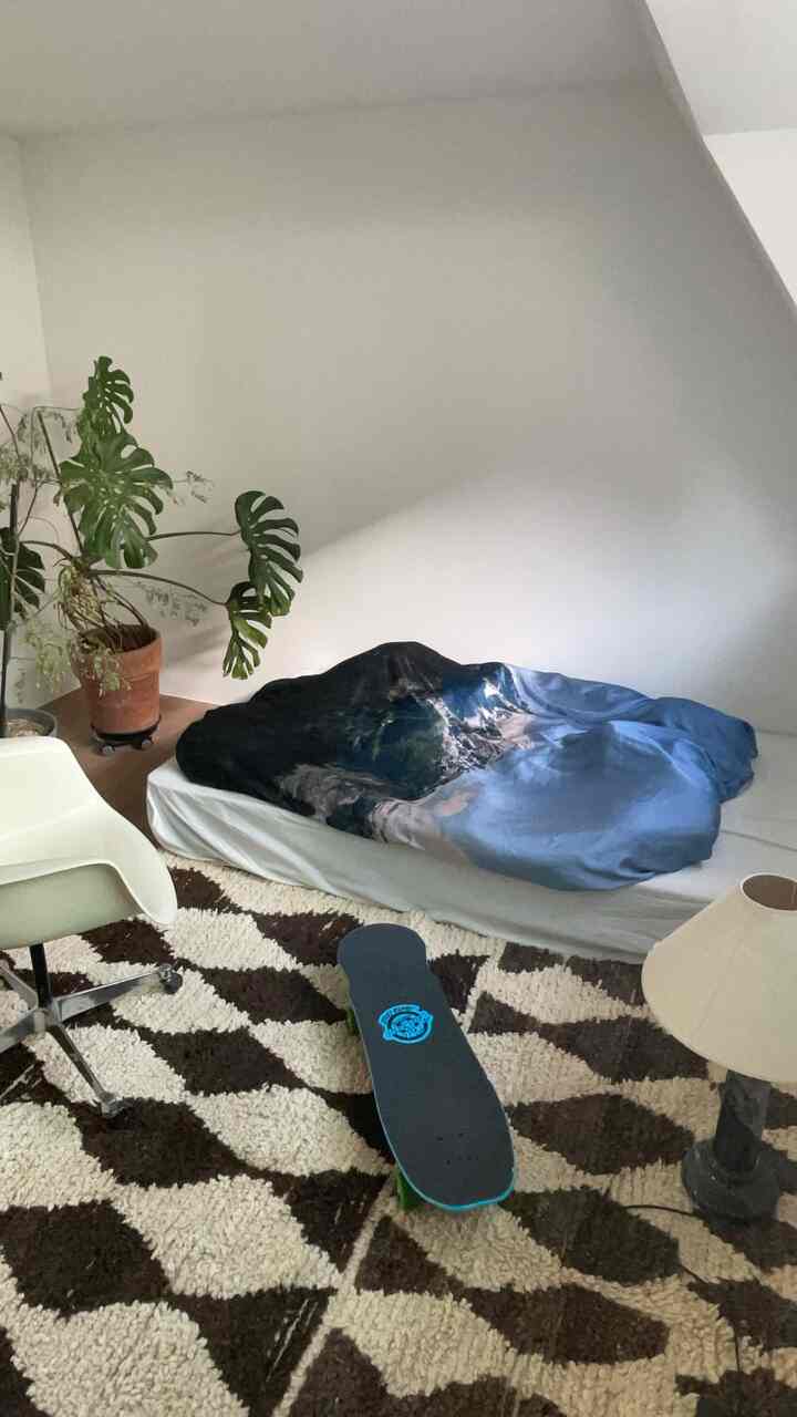 A small bedroom with white walls and brown patterned rug, featuring a floor bed, chair, and a potted Monstera plant