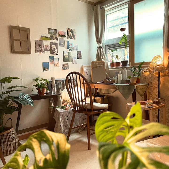 My own forest 🌿