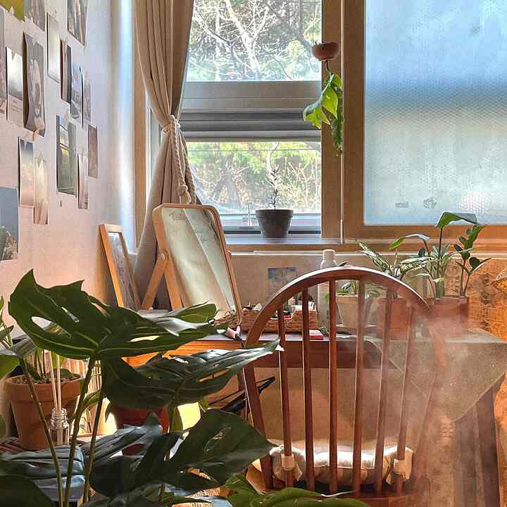 ナチュラルな木目調とベージュのカーテンが調和した狭いリビング、化粧台と多くの植物が配置された居心地の良い空間