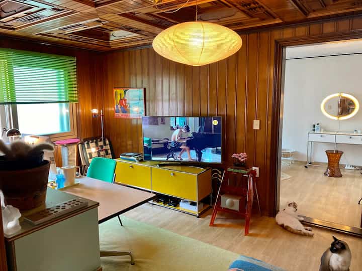 ヴィンテージな木製パネル壁と黄色のテレビ台があるリビング兼ホームオフィス、床にくつろぐ2匹の猫がいる雰囲気のあるインテリア