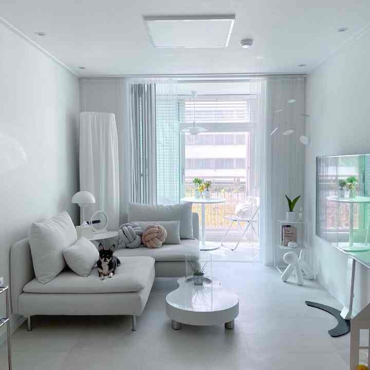 White-toned living room featuring a two-person sectional sofa with a dog, minimal natural modern interior style