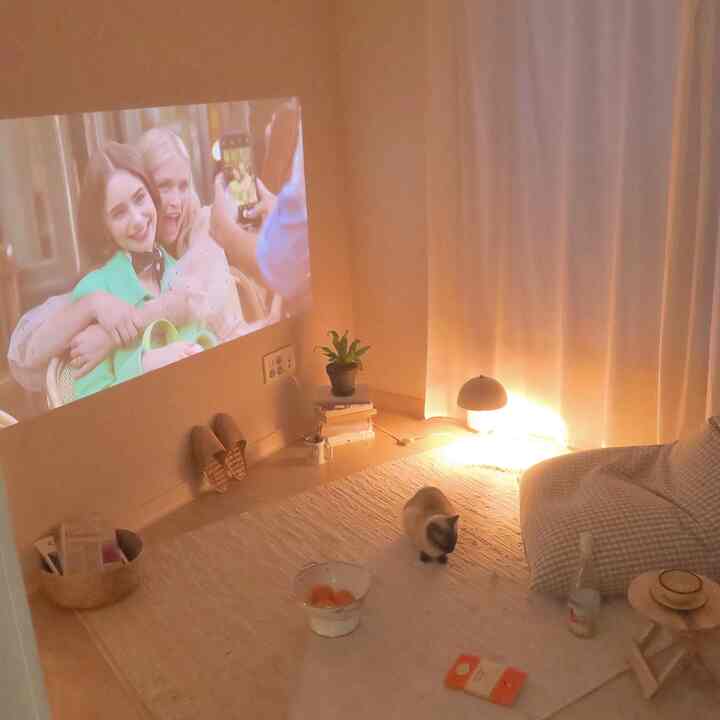 Warm beige-toned small living room with projector screen on wall, rattan bean bag sofa, and a cat on the rug creating a cozy atmosphere