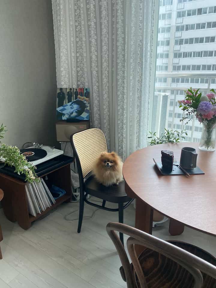 Bright white and warm wood-toned living room featuring a small dog on a rattan chair and a home cafe dining table, creating a cozy atmosphere