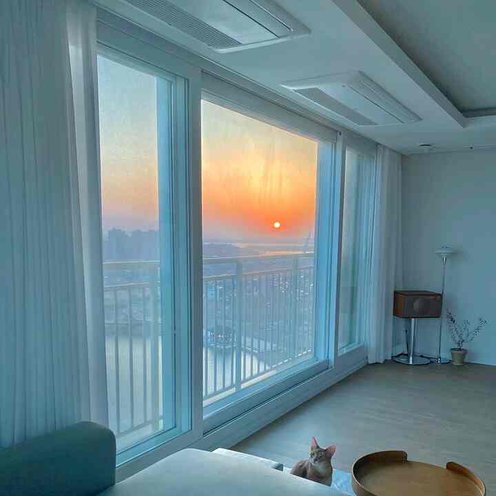 White-toned living room featuring electric curtains, Bluetooth speaker, and a pet cat in a cozy setting