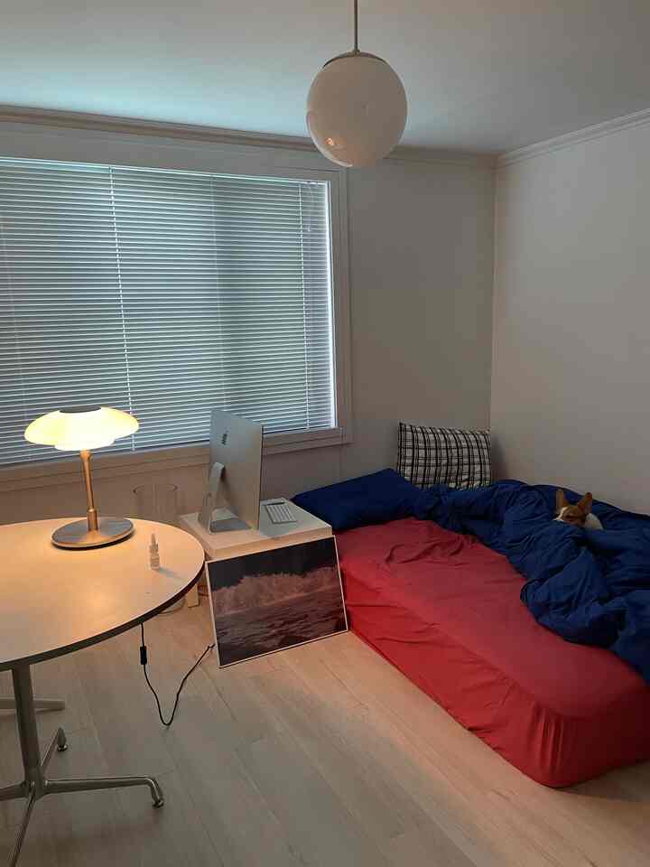 白いブラインドと壁、丸テーブル、ベッドの上でくつろぐ犬がいるモダンな寝室のインテリア