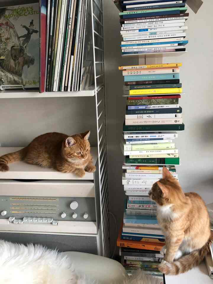 空間をきれいな小物で埋めるのも良いですが、好きなよく読んだ本で自然に満たされながら隅々がきれいな空間になったと思います。 
