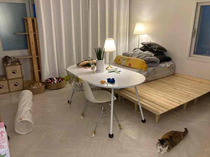 A white and wood-toned bedroom space featuring a cat tower and table lamp creating a cozy atmosphere
