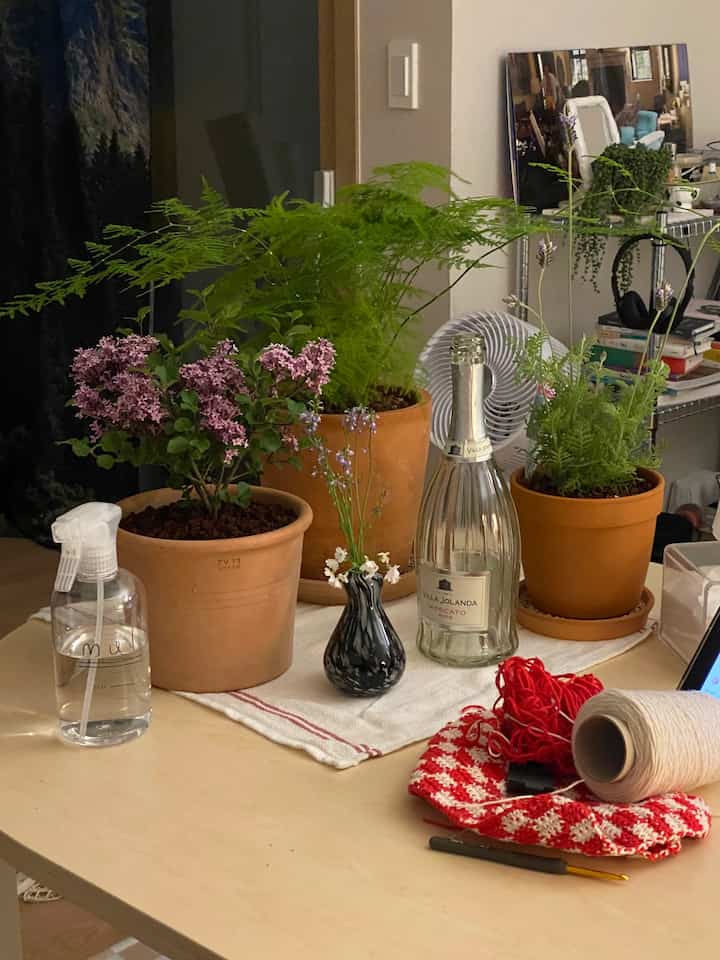 Natural toned dining room featuring plant pots and vase on table, creating a simple and cozy atmosphere