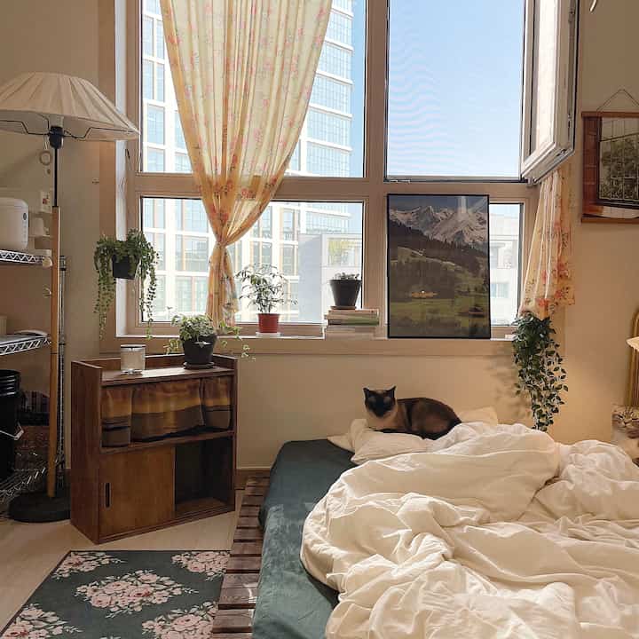 Natural-toned small bedroom featuring yellow floral curtains, white bedding, plants on window sill, and a cat resting comfortably