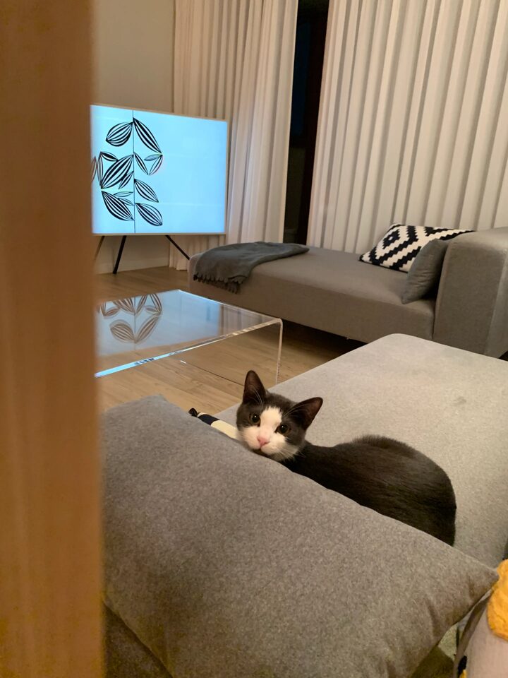 short form carousel card thumbnail