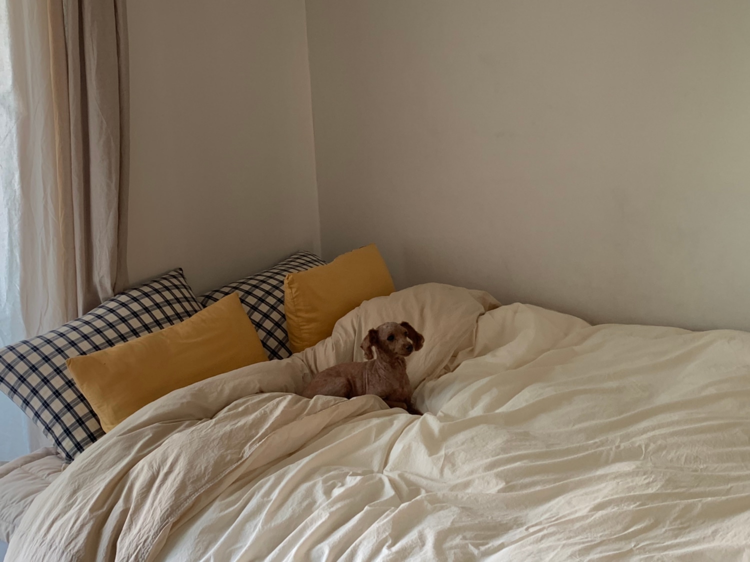Soft Mood Pillow Cover user photo