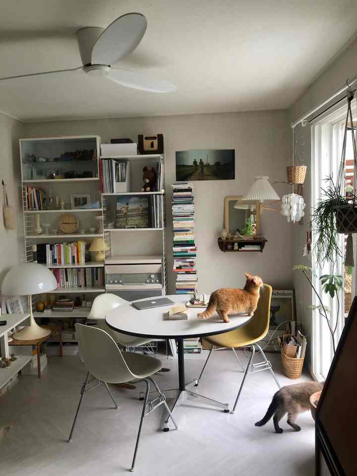 White and beige toned veranda featuring a round dining table, bookshelf, and two cats in a cozy interior