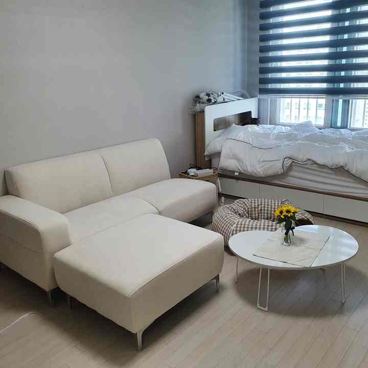 白とベージュの色調の寝室、ソファとベッド、そして猫がいる雰囲気のあるインテリア