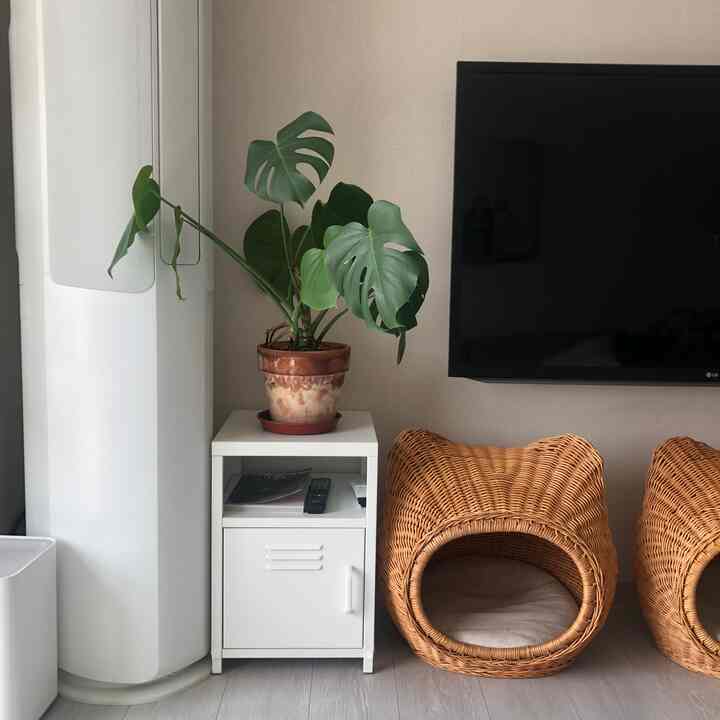 Natural-toned living room with a white nightstand topped with a monstera plant and rattan cat houses creating a cozy atmosphere