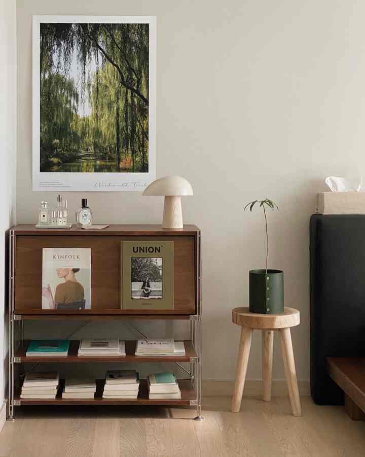Simple and natural living room with white walls and brown wood cabinet, featuring a plant and a table lamp