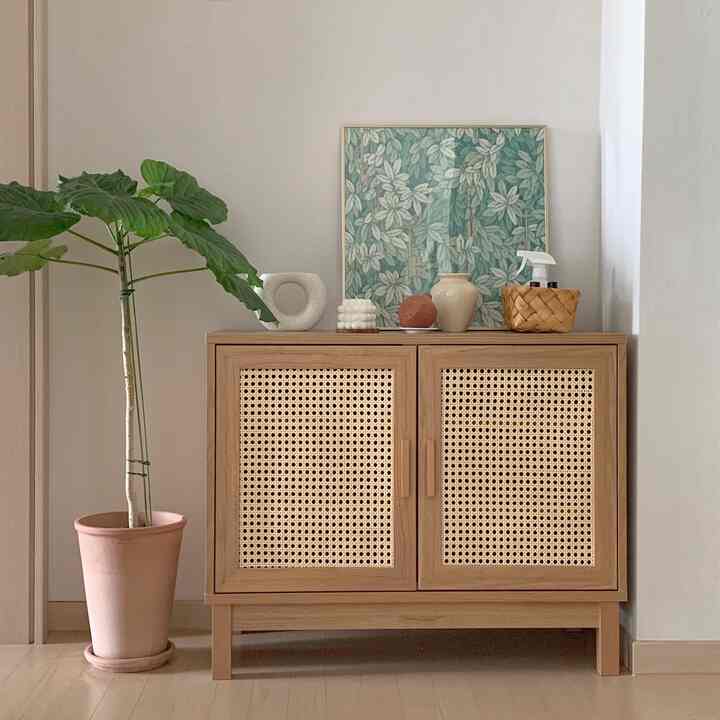 Natural wood tone and beige living room cabinet with potted plant and framed art creating a tidy and cozy space