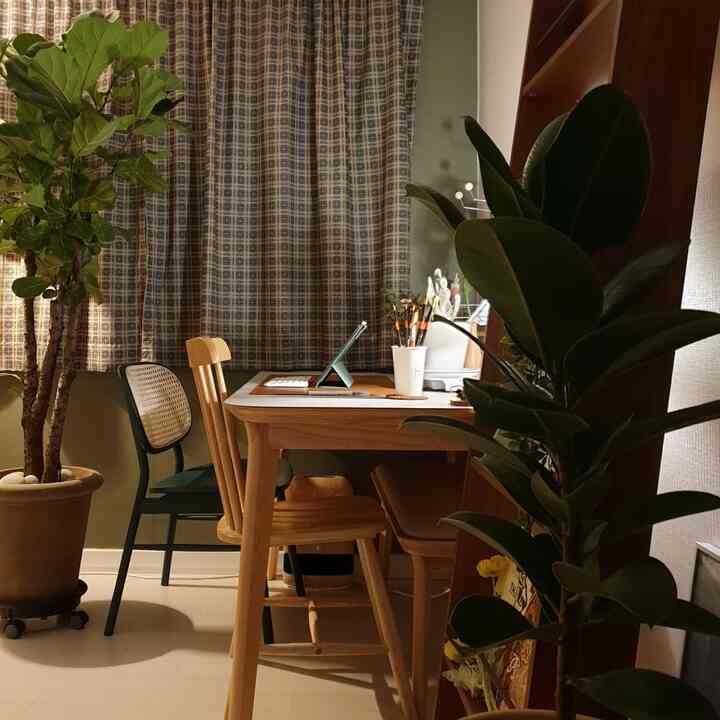 Cozy home office workspace with green walls, wooden dining table, and various plants arranged