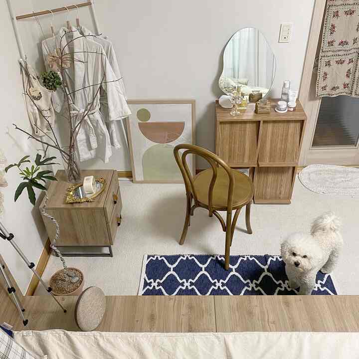 ホワイトの壁と木目調の家具が配置された寝室、ネイビーのアクセントラグと化粧台、白い小さな犬がいる落ち着いた雰囲気のインテリア