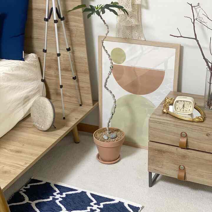 Natural brown-toned bedroom corner featuring a navy patterned rug, nightstand, and a plant creating a warm atmosphere