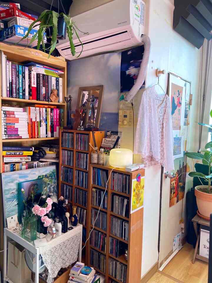 Natural-toned compact room featuring bookshelves and CD racks along the wall for reading and music enjoyment