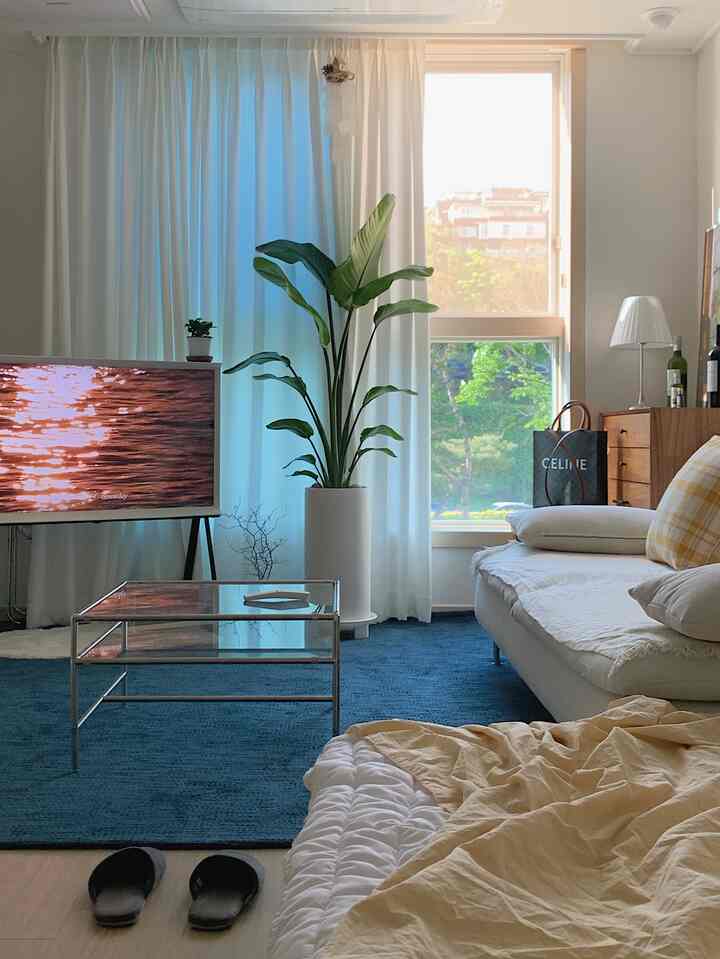 White and blue toned studio living room featuring TV, sofa, curtains, and plants with cozy natural atmosphere