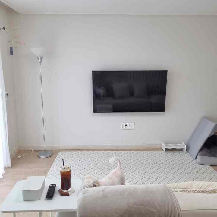 White and beige toned living room featuring a sofa, a rug with a dog on it, and a central TV wall