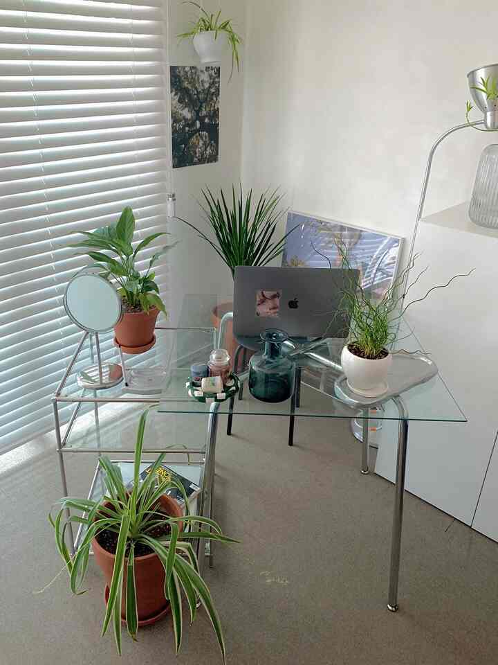 White-toned home office space featuring a glass desk with laptop and multiple plants, clean and modern interior