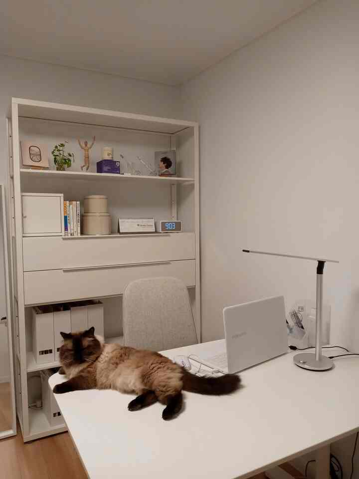 White-tone home office featuring a cat on a desk with a Samsung laptop, clean and simple setup