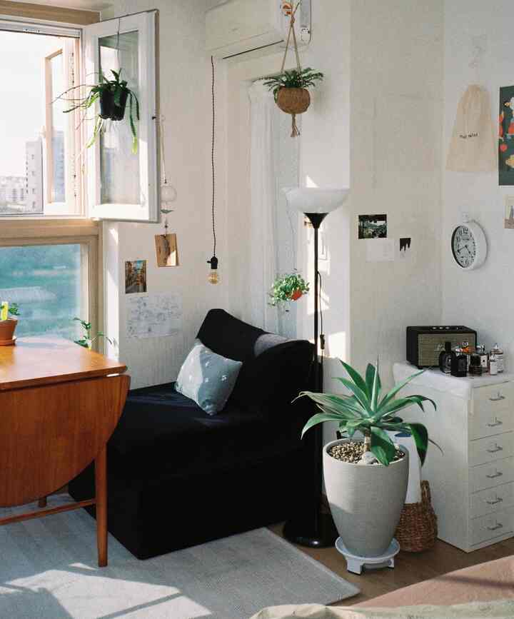 Natural tone living room with white walls and wood-toned table, featuring a black single sofa and various plants, creating a cozy atmosphere