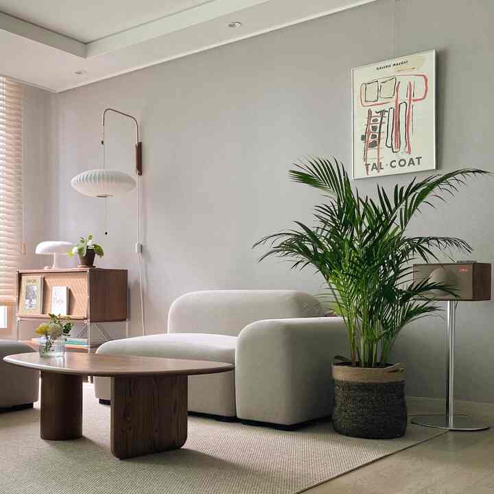 Beige and gray toned living room featuring natural modern sofa, wooden coffee table, and potted plant creating a cozy space