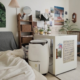 주말내리 비오고 꿉꿉한 날