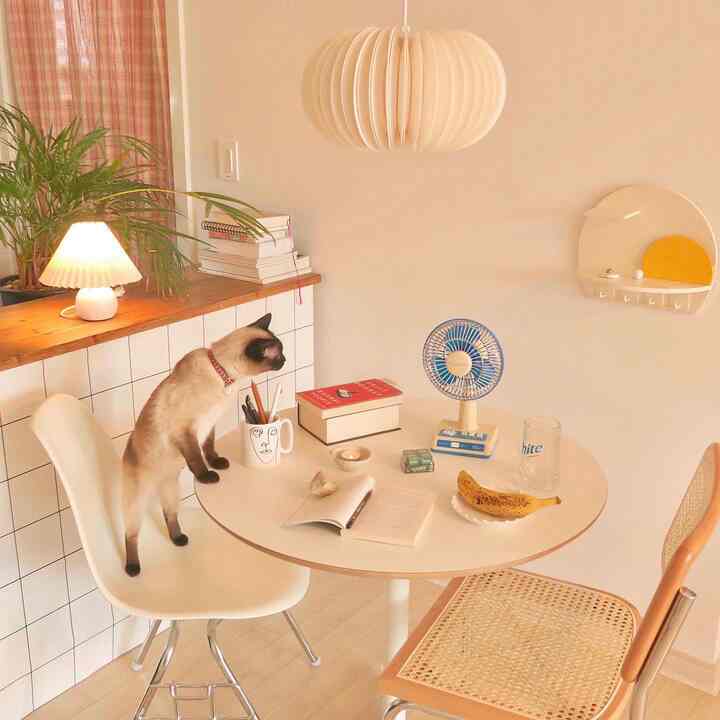 Soft white-toned dining room featuring a round dining table, various chairs, a cat, and a wireless fan, creating a cozy atmosphere