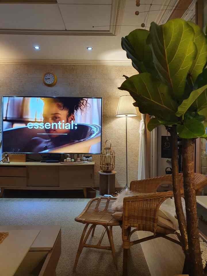 夏には…？夏には〜