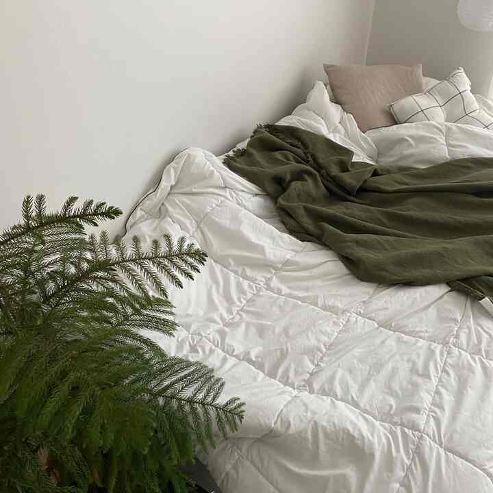 A white and green toned bedroom featuring simple bedding and natural light creating a fresh atmosphere