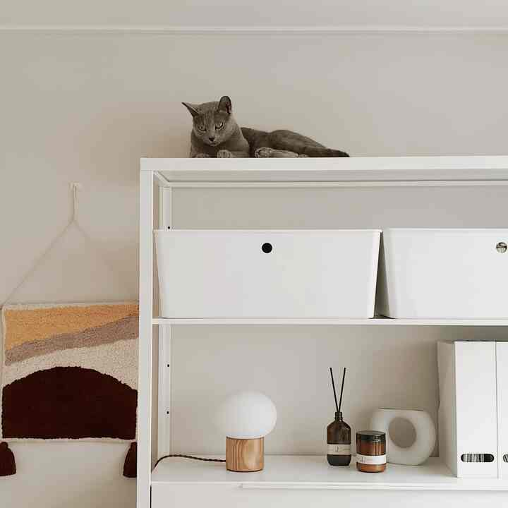 A modern interior of a shelving storage space in white and natural tones featuring a cat resting on top