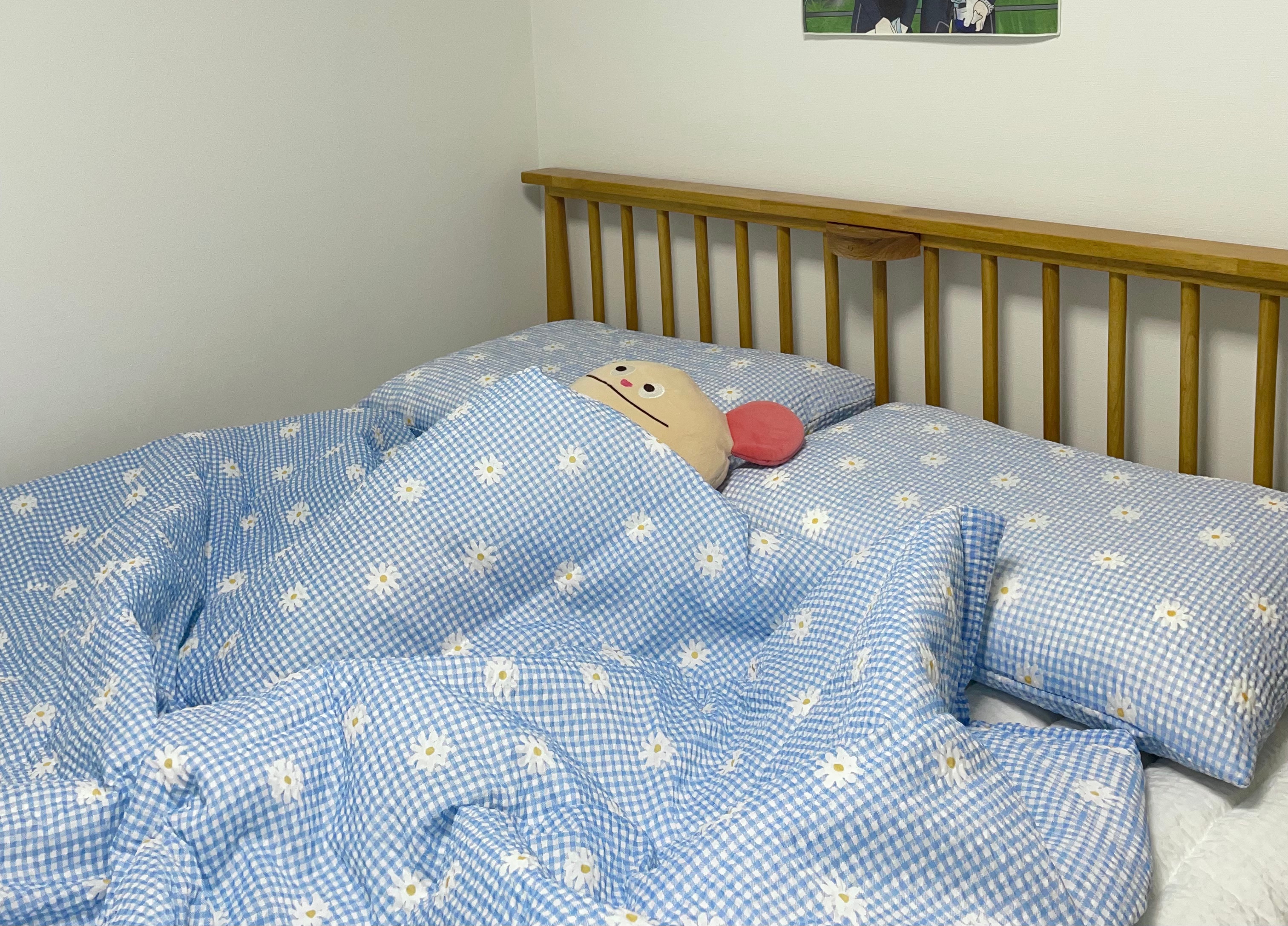 Summer Romance Seersucker Light Blanket + Pillowcase Set user photo