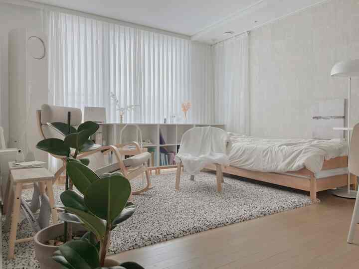 Bright tone minimal natural style bedroom and living room featuring wooden furniture and indoor plants with cozy atmosphere