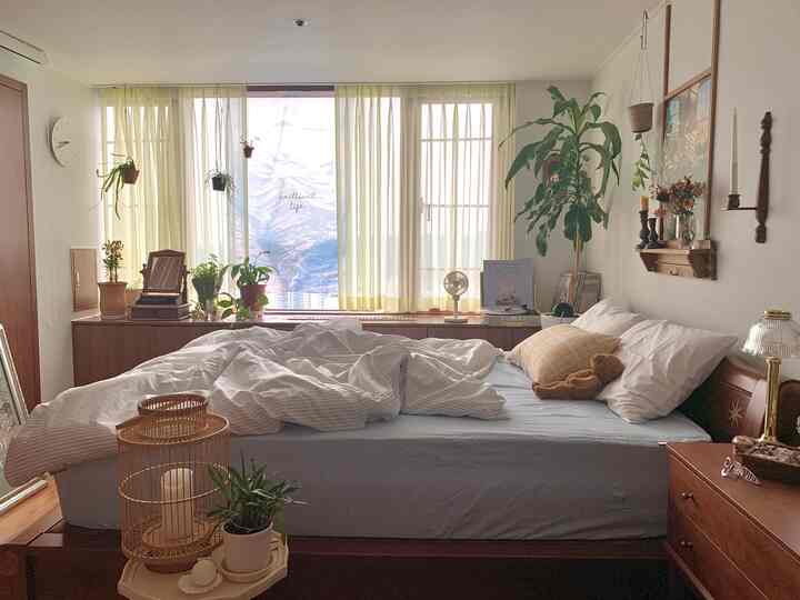 White and wood tone bedroom featuring plants and rattan accessories creating a cozy atmosphere