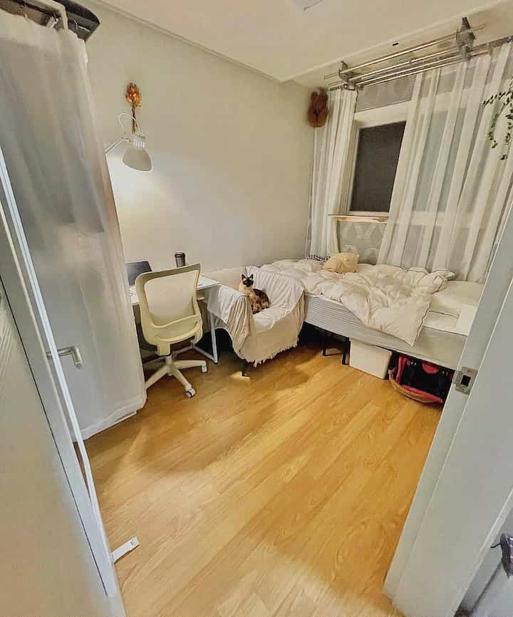 明るいナチュラルトーンの約8坪の小さな部屋、デスクとクリーム色のアームチェア、ベッドの上に座る猫がいる居心地の良い書斎空間